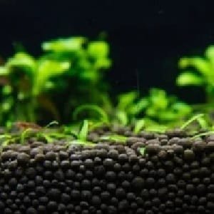 Aquarium Soil & Substrate