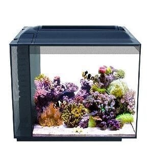 Marine Aquarium