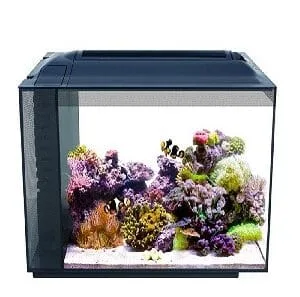 Marine Aquarium