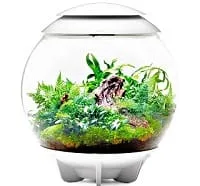 gift-an-aquarium - 1 (1)