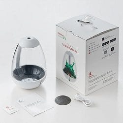 Chihiros Tiny Terrarium Egg