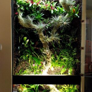 Terrarium Tanks